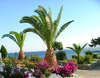 Paraktio Beach Hotel 